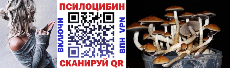 наркота Сергач Псилоцибиновые грибы мицелий